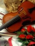pic for violin shaerane